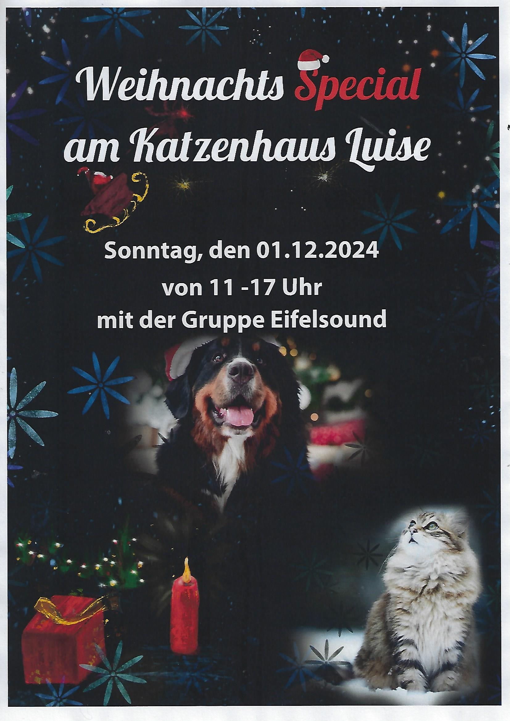 01.12.2024Trodelmarkt