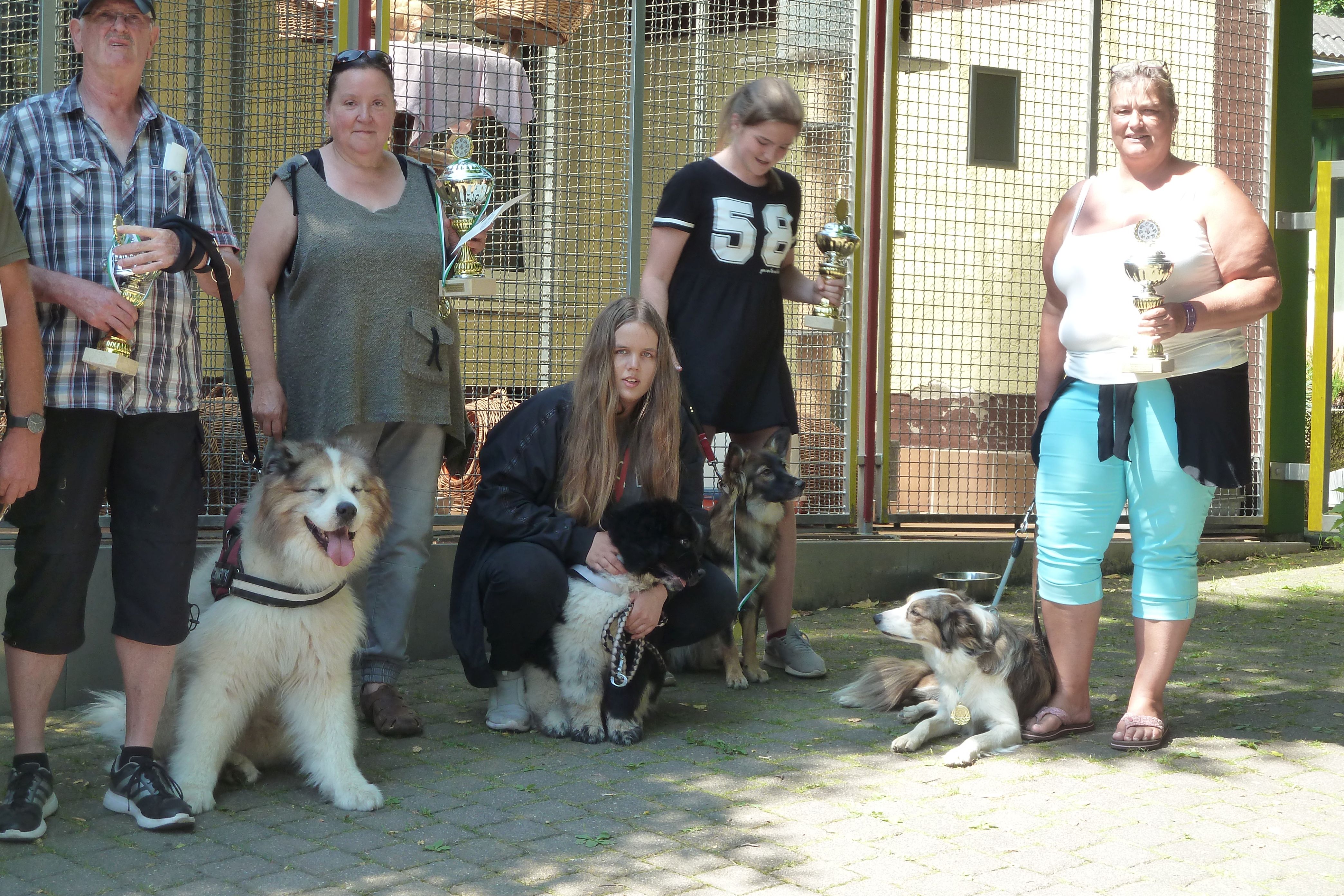 Tierschutzverein Mechernich Ein toller Tag im Tierheim beim