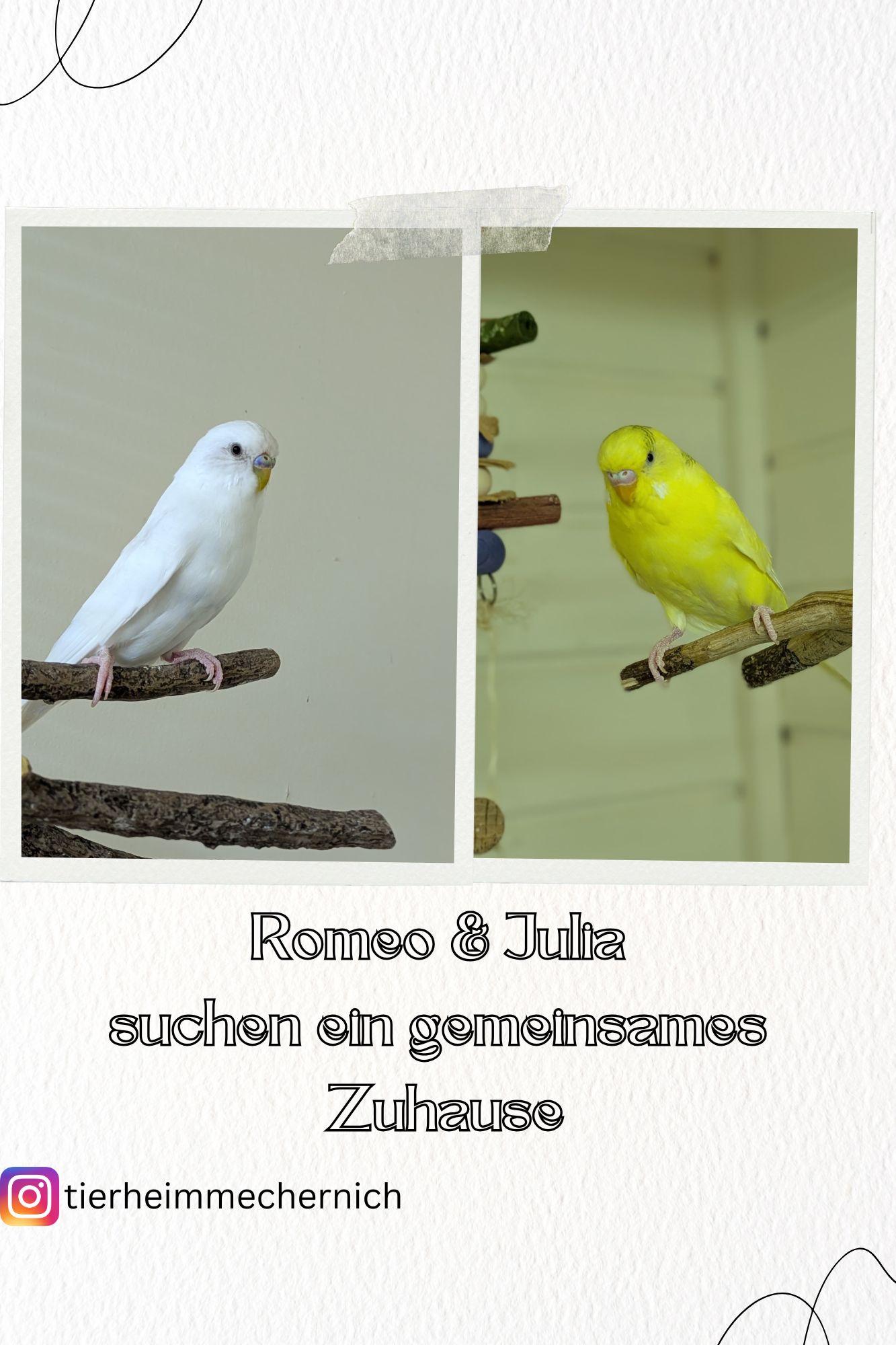 Romeo & Julia