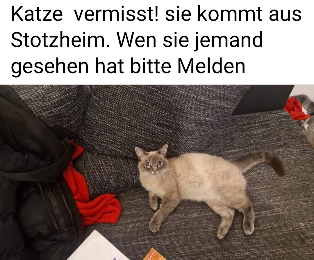 Vermisst in Stotzheim